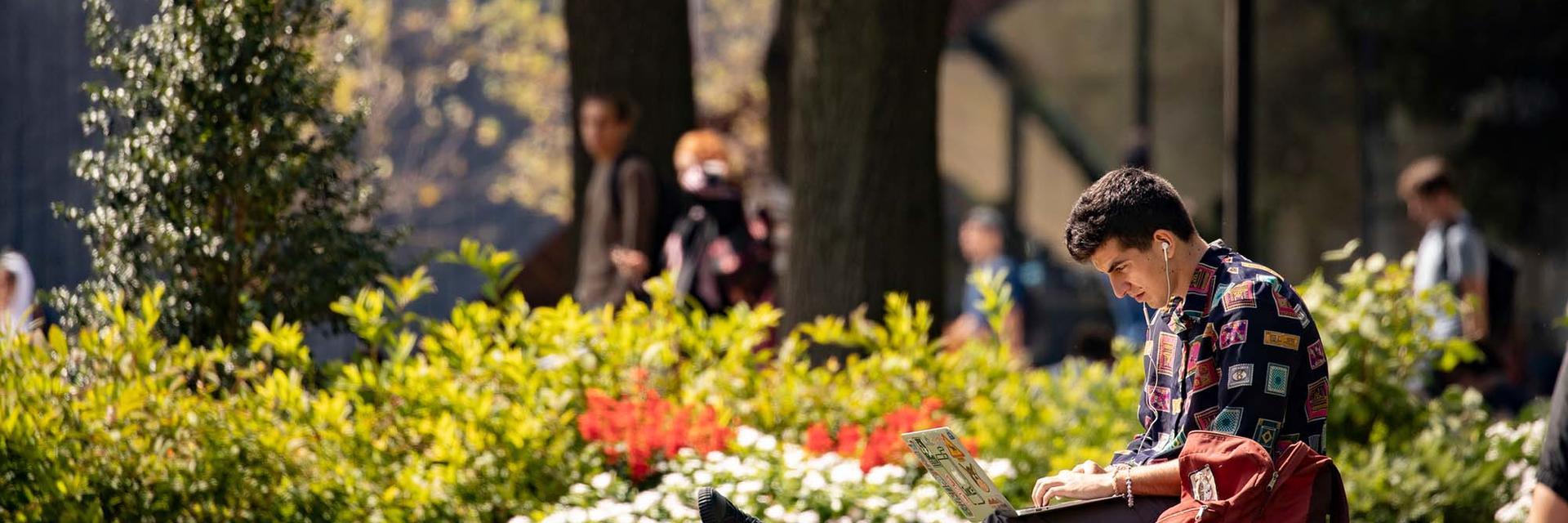 A student studies outside.